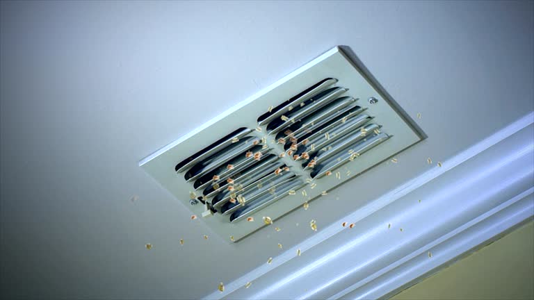  Chester Gap, VA Airduct Cleaning Pros