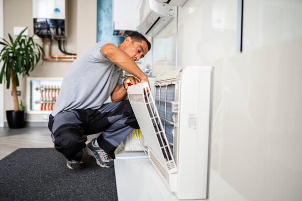 Best Home Air Vent Cleaning  in Chester Gap, VA