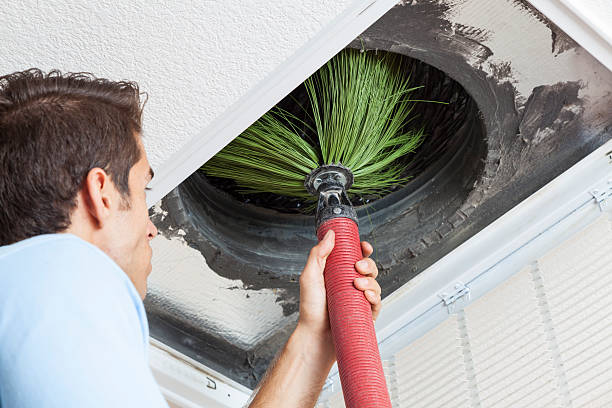 Best HVAC Air Duct Cleaning  in Chester Gap, VA