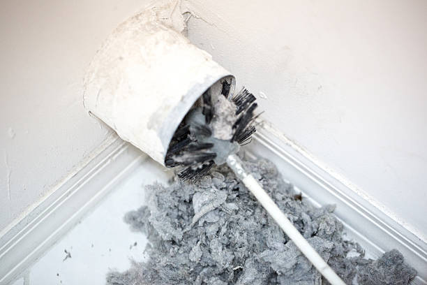 Best Affordable Duct Cleaning Services  in Chester Gap, VA